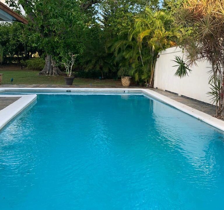 c03843e2-6774-4999-9385-adc43bb91363