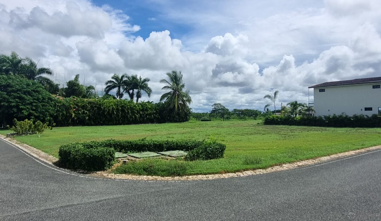 d25e5861-9990-4cc8-b221-522db02d8b3f