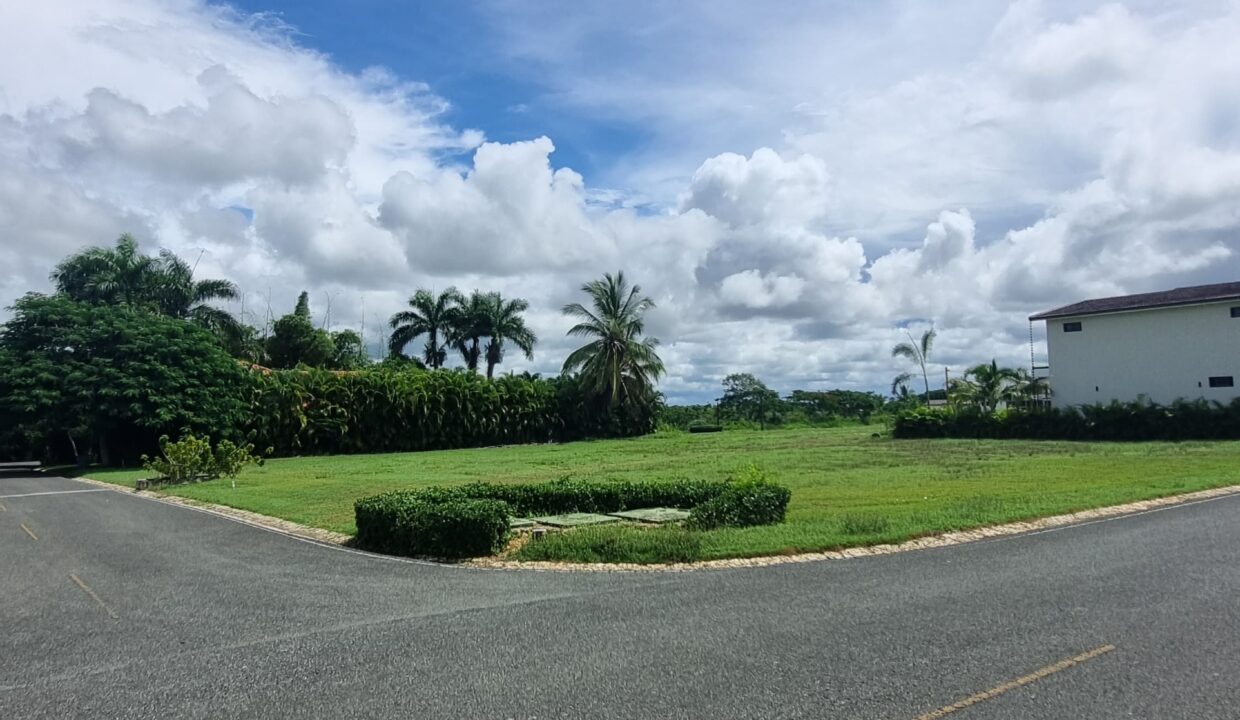 e0541ffb-3ce1-4c73-968e-2d0b9c1ab040