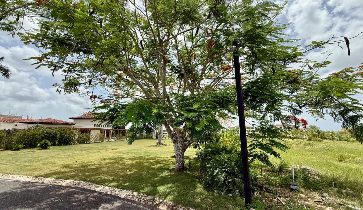 162d439b-4361-4d74-81d1-2758d8ea4320