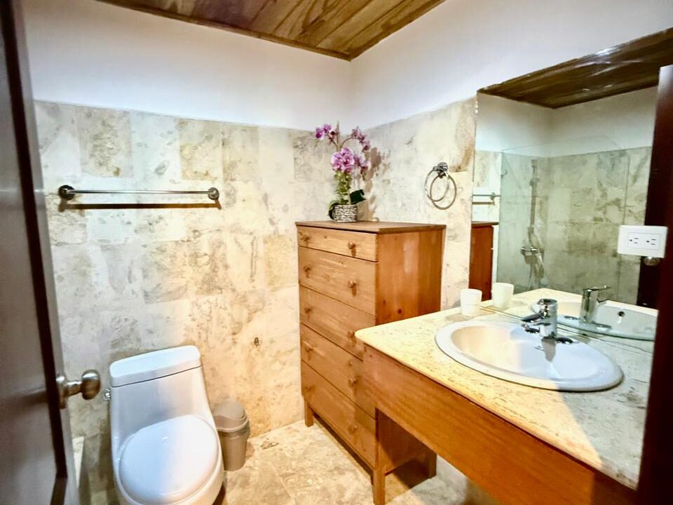 e0503565-925b-4e14-b7bd-2f0ef39efb9c