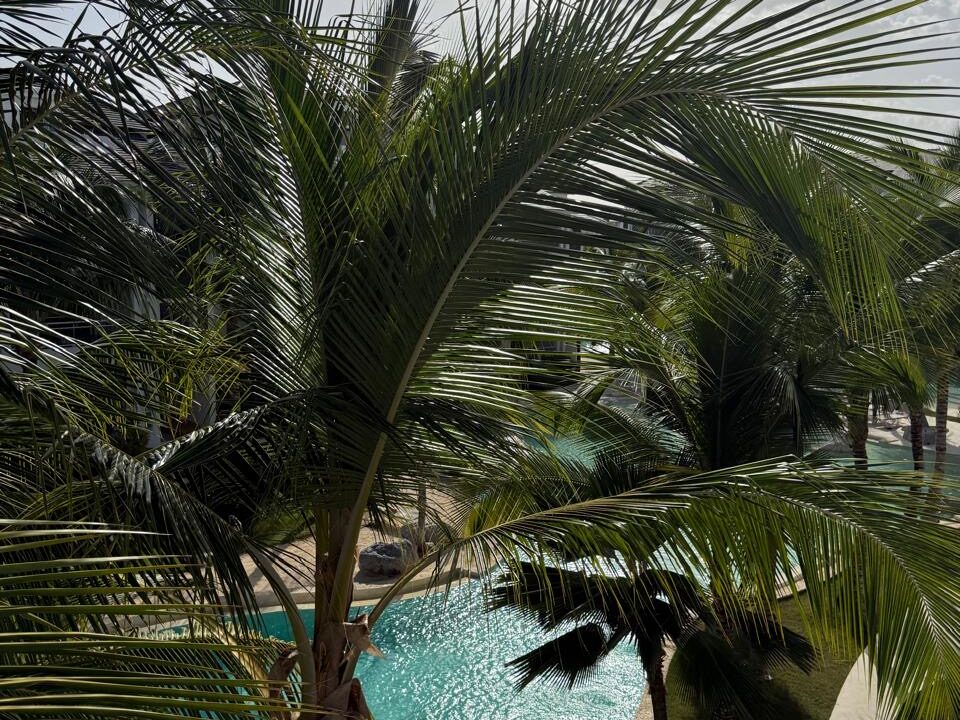 01e40774-990c-426f-ad38-0a8fba0504b7