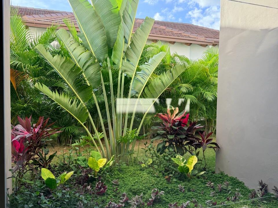 4ff5a05a-e9d0-4f75-803e-3e4e22e9360c