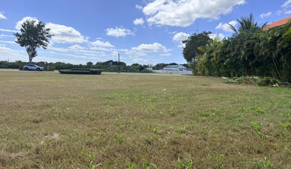 PHOTO-2026-02-25-12-41-10 4